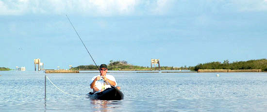 Kayaking Louisiana