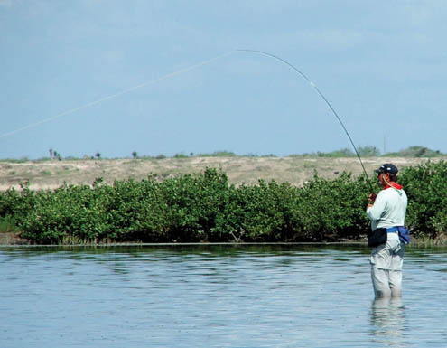 Gulf Coast Fisherman - Summer Angling Options in the Lower Laguna Madre