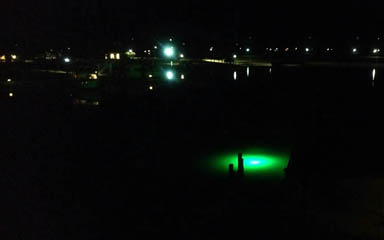 Gulf Coast Fisherman - Go Green - It's a Nighttime Thing