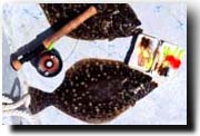 Fly Fishing Flounder
